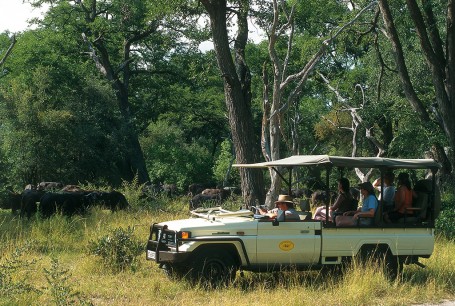 Safari Okavango