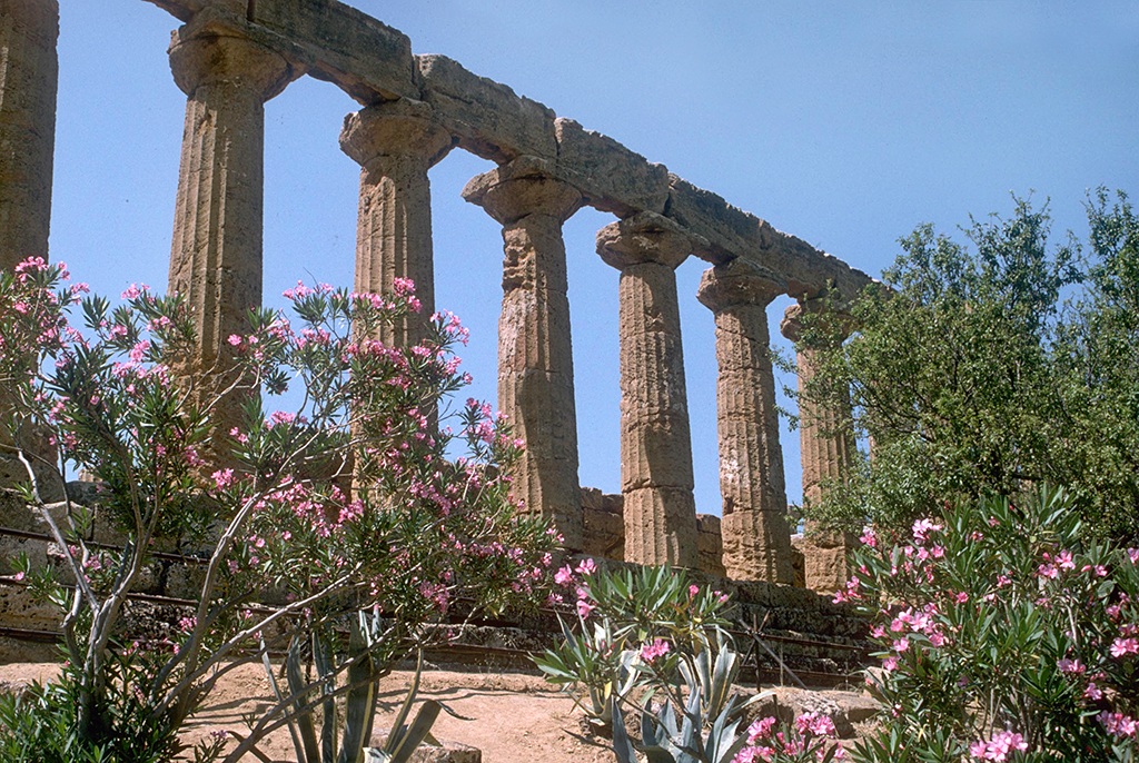 LE VRAI MARSALA DE SICILE D.O.C. NATURE